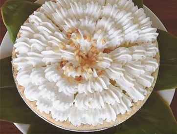 Banana cream pie | Polynesian Cultural Center