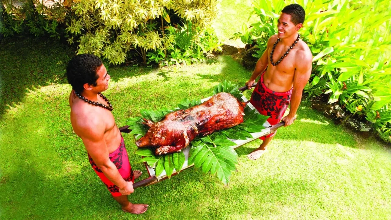A whole roasted pig for the lūʻau being carried from the imu.