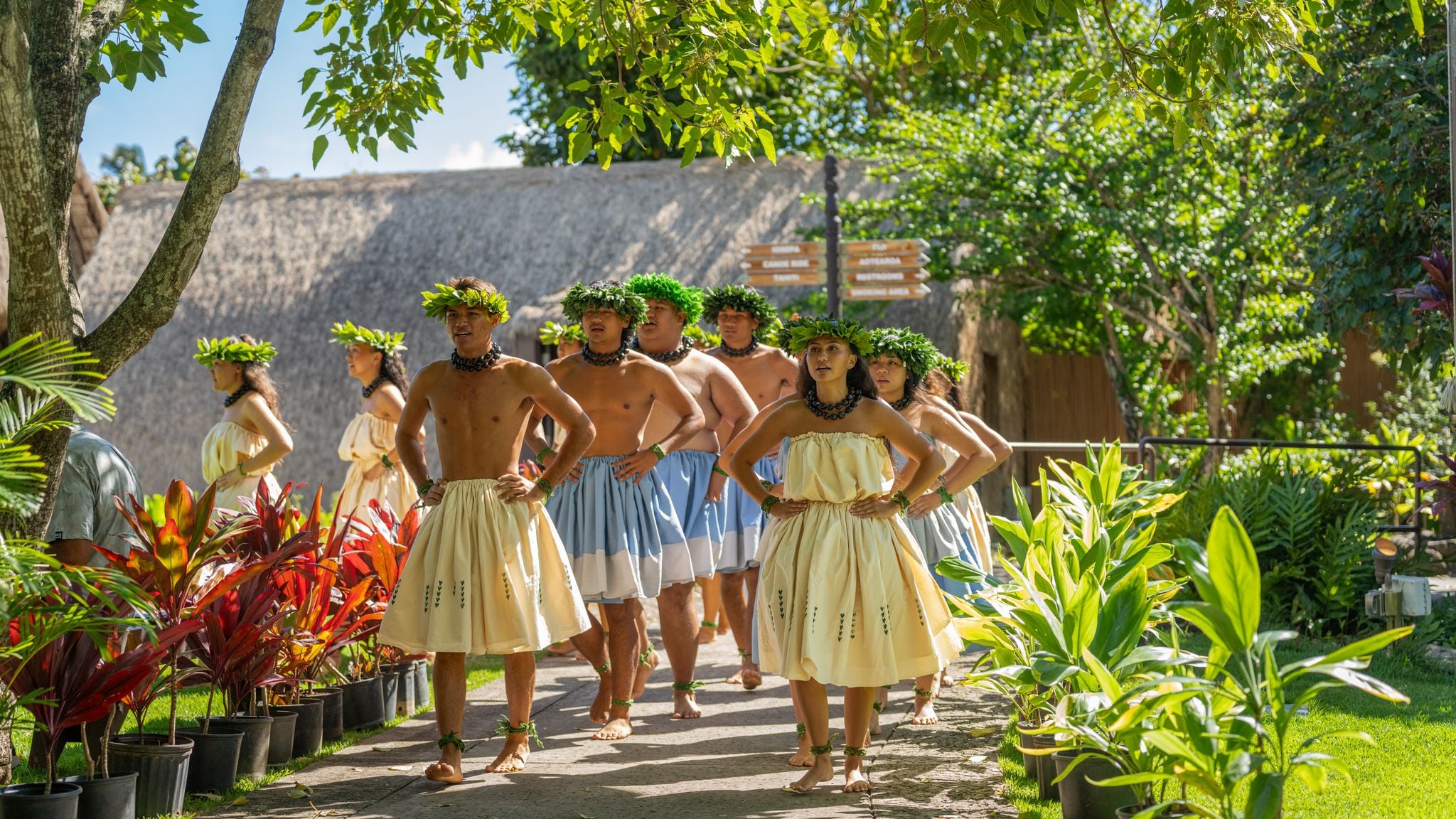 Dancers make their hula entrance at the groundbreaking ceremony