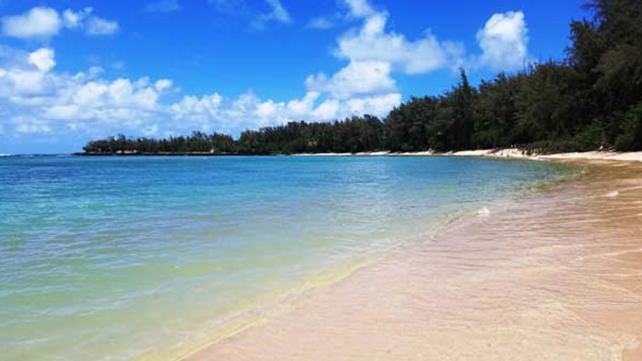 Turtle Bay sits to the right of Turtle Bay Resort but the best access is directly off of Kam Highway