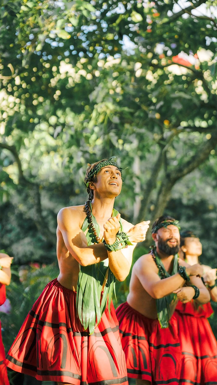 Hula performance featuring men and women.