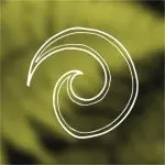 Koru (spiral)