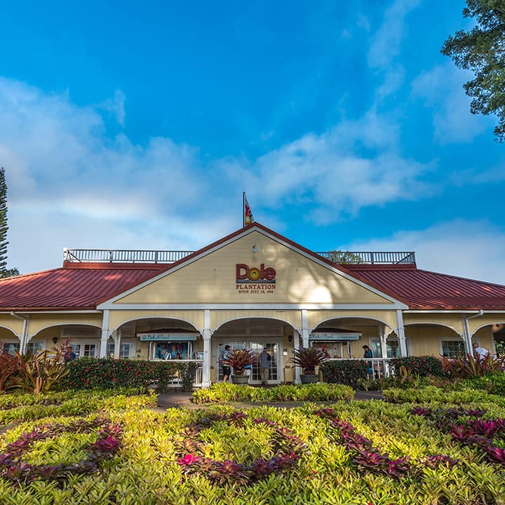 Our circle island Tour stop - Dole Plantation