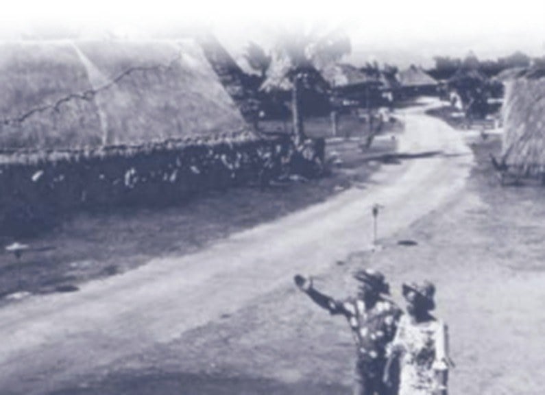 Historic photo of a Hawaiian village with thatched hale along a dirt road